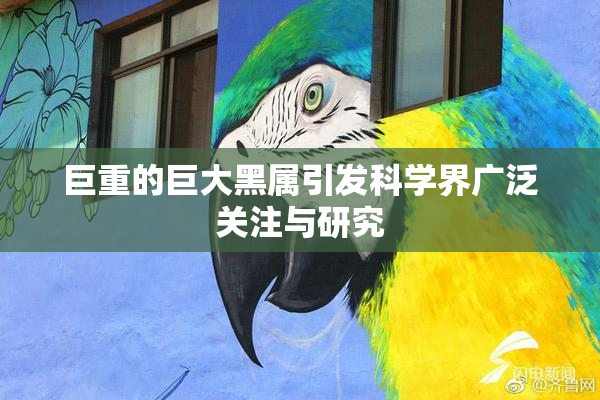 巨重的巨大黑属引发科学界广泛关注与研究