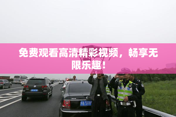 免费观看高清精彩视频，畅享无限乐趣！