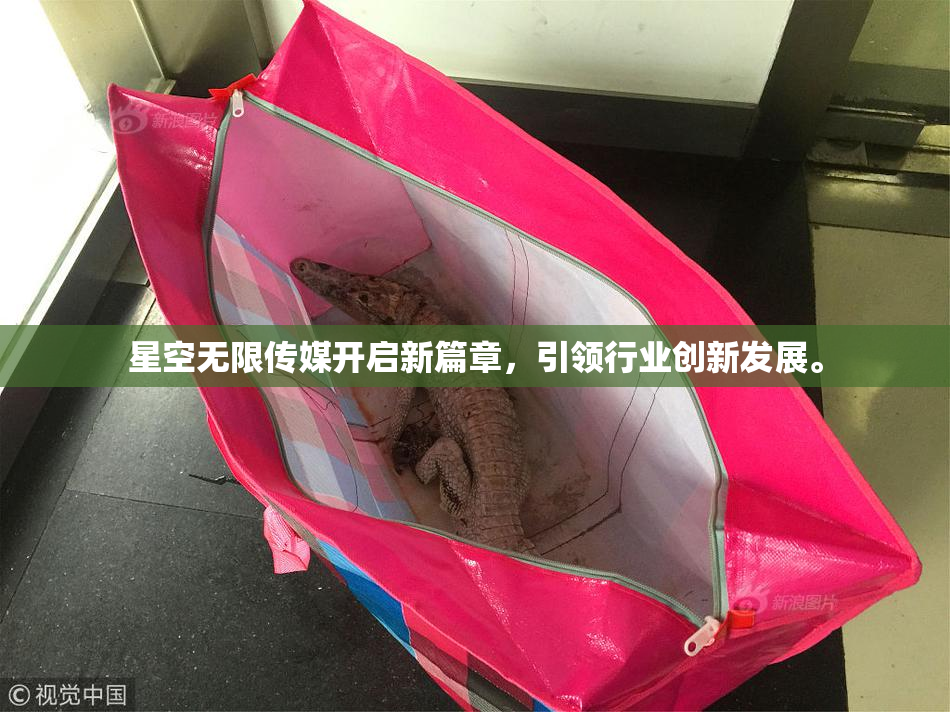星空无限传媒开启新篇章，引领行业创新发展。