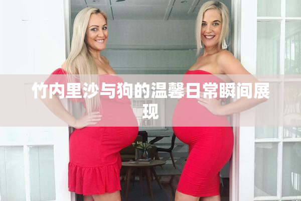 竹内里沙与狗的温馨日常瞬间展现