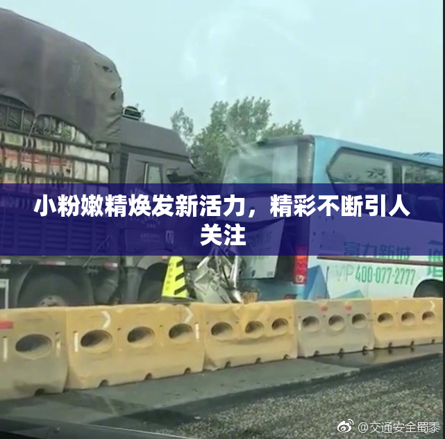 小粉嫩精焕发新活力，精彩不断引人关注