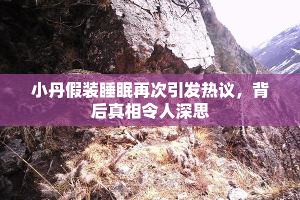 小丹假装睡眠再次引发热议，背后真相令人深思
