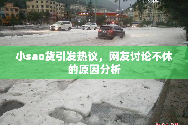 小sao货引发热议，网友讨论不休的原因分析