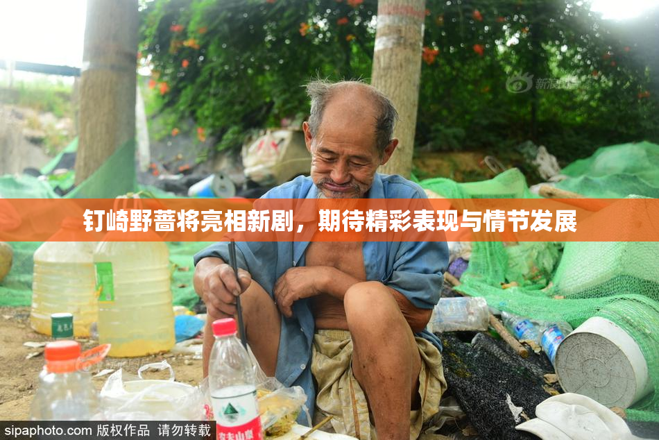 钉崎野蔷将亮相新剧，期待精彩表现与情节发展