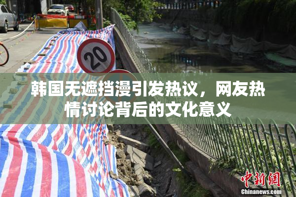 韩国无遮挡漫引发热议，网友热情讨论背后的文化意义