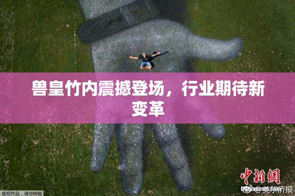 兽皇竹内震撼登场，行业期待新变革