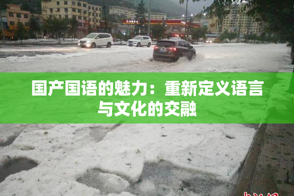 国产国语的魅力：重新定义语言与文化的交融