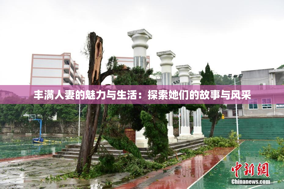 丰满人妻的魅力与生活：探索她们的故事与风采