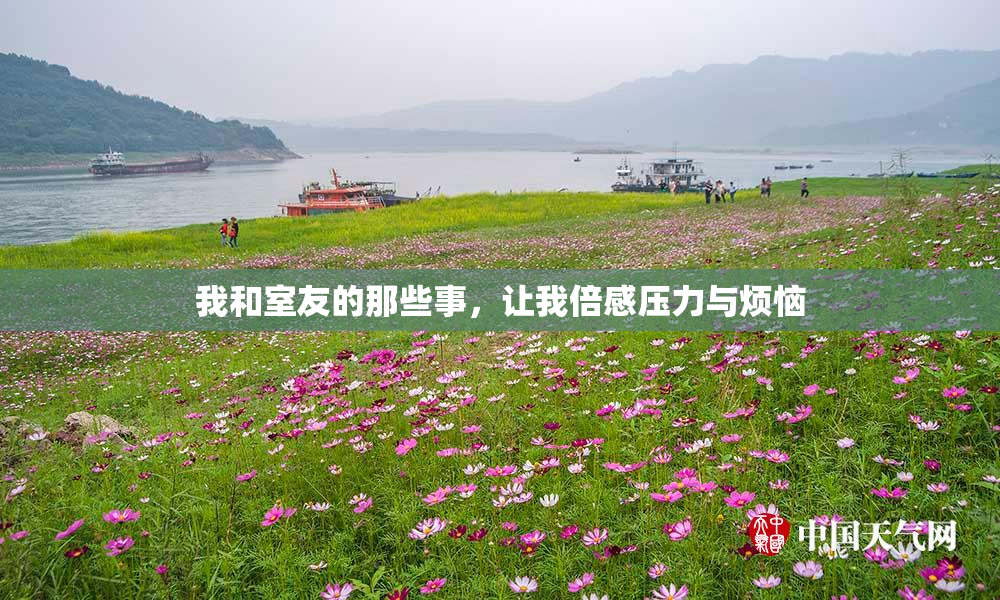 我和室友的那些事，让我倍感压力与烦恼
