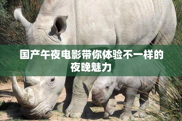 国产午夜电影带你体验不一样的夜晚魅力
