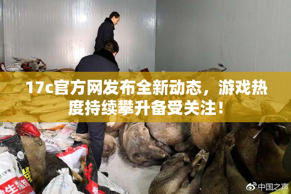 17c官方网发布全新动态，游戏热度持续攀升备受关注！