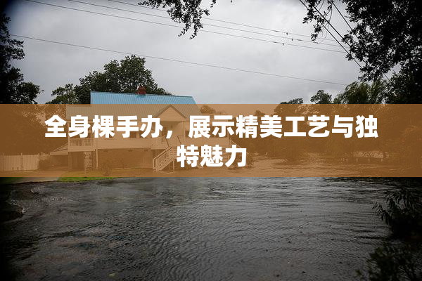 全身棵手办，展示精美工艺与独特魅力