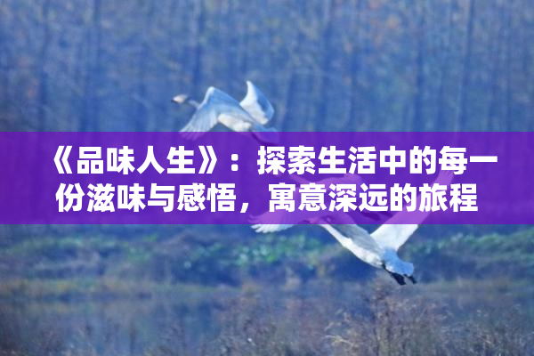《品味人生》：探索生活中的每一份滋味与感悟，寓意深远的旅程