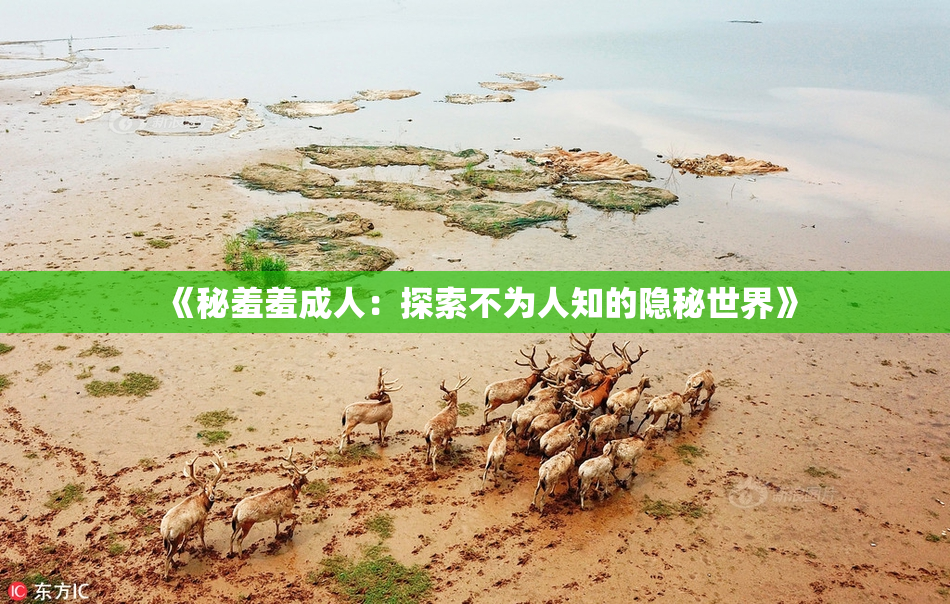 《秘羞羞成人：探索不为人知的隐秘世界》