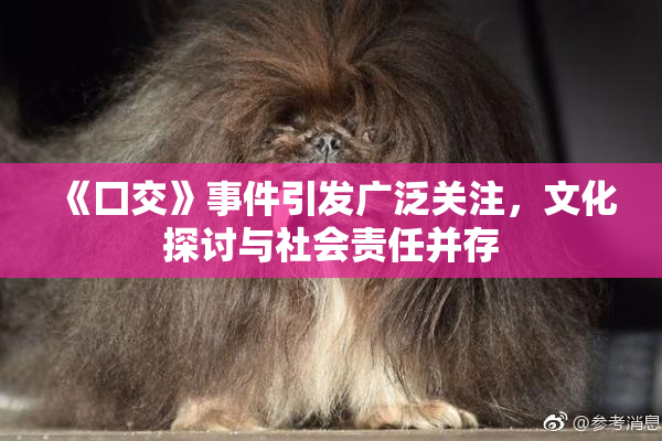 《囗交》事件引发广泛关注，文化探讨与社会责任并存