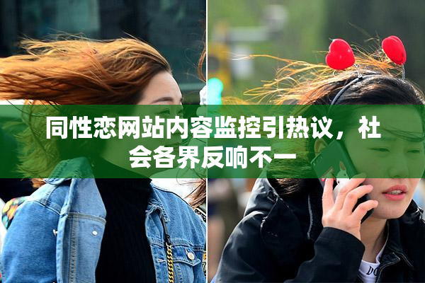同性恋网站内容监控引热议，社会各界反响不一
