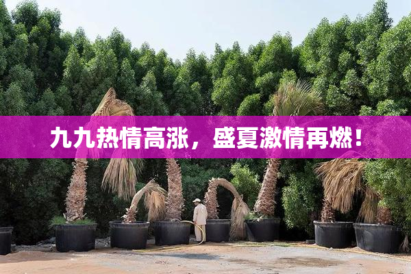 九九热情高涨，盛夏激情再燃！