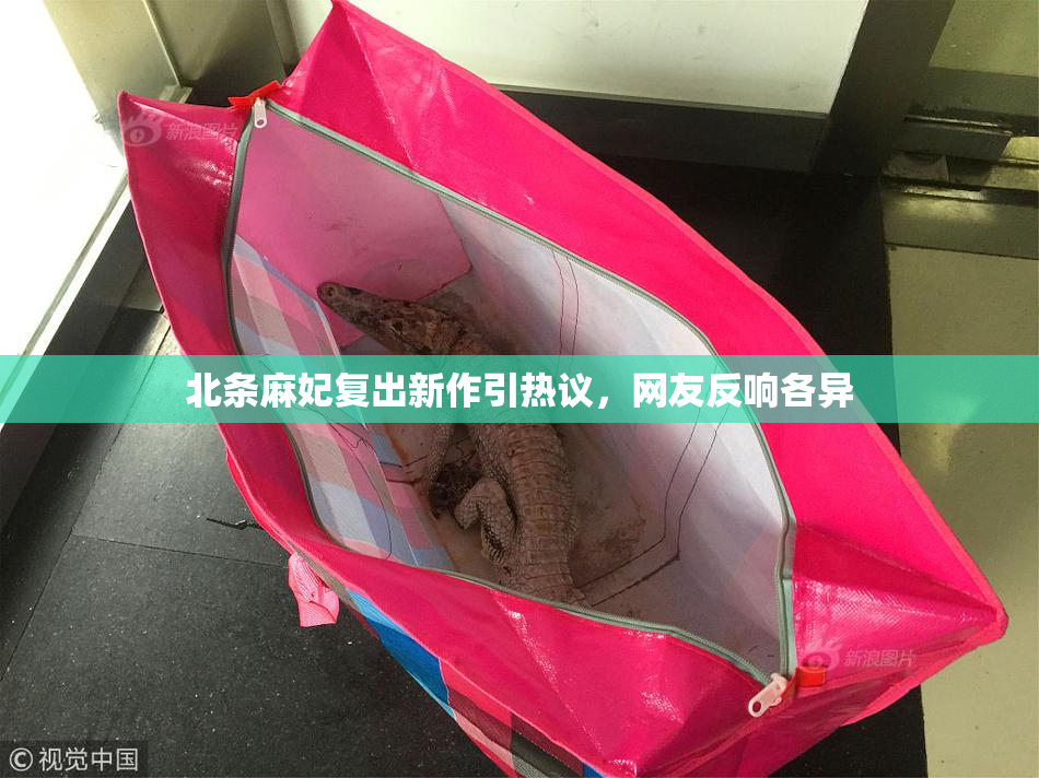 北条麻妃复出新作引热议，网友反响各异
