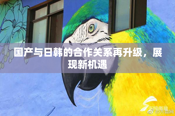 国产与日韩的合作关系再升级，展现新机遇