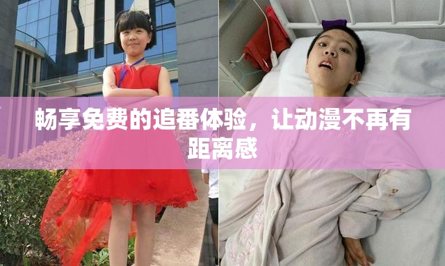 畅享免费的追番体验，让动漫不再有距离感
