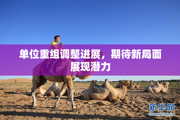 单位重组调整进展，期待新局面展现潜力
