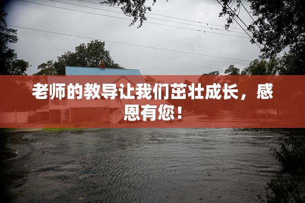 老师的教导让我们茁壮成长，感恩有您！