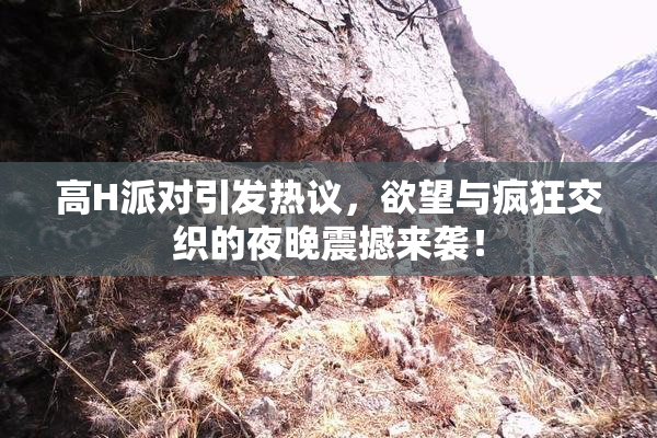高H派对引发热议，欲望与疯狂交织的夜晚震撼来袭！