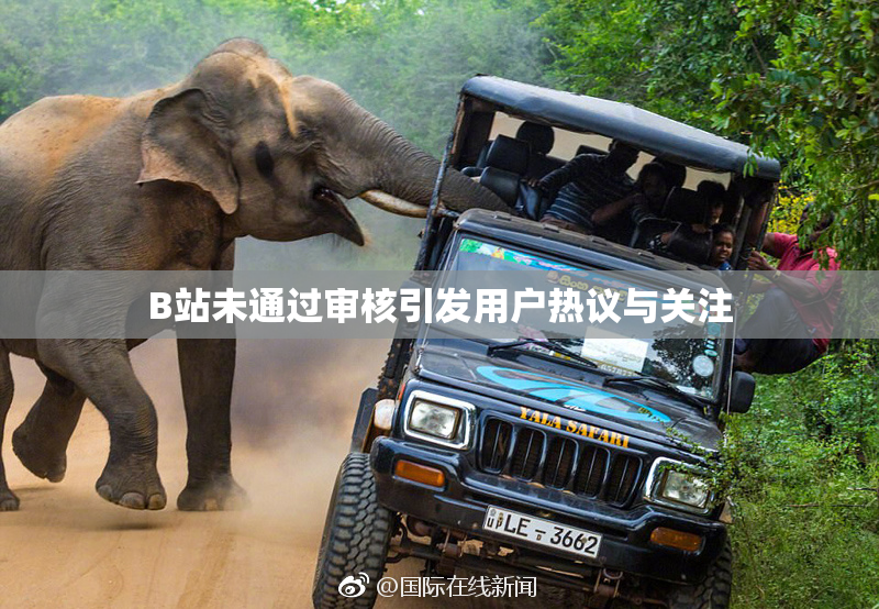 B站未通过审核引发用户热议与关注