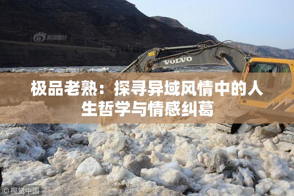 极品老熟：探寻异域风情中的人生哲学与情感纠葛
