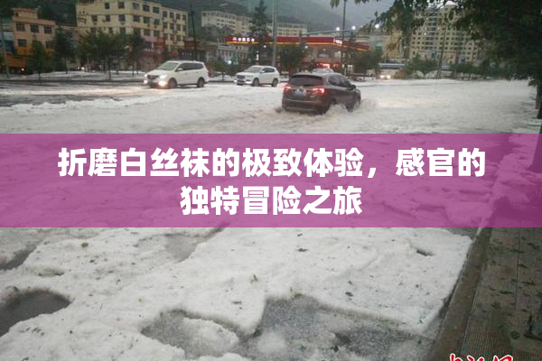 折磨白丝袜的极致体验，感官的独特冒险之旅
