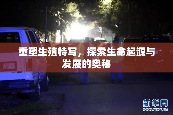 重塑生殖特写，探索生命起源与发展的奥秘