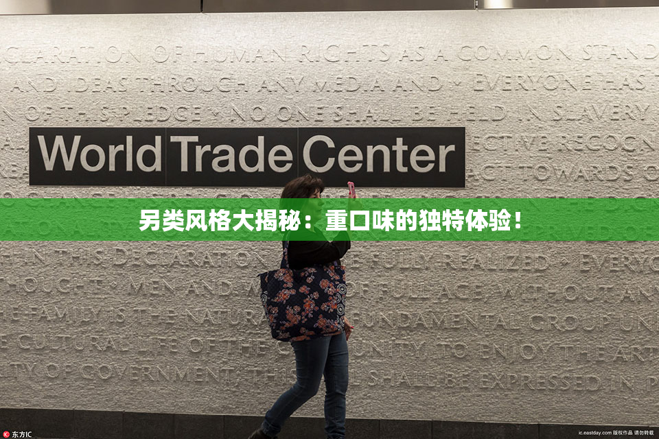 另类风格大揭秘：重口味的独特体验！