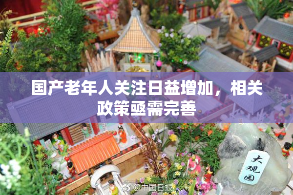 国产老年人关注日益增加，相关政策亟需完善