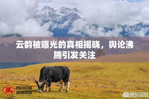 云韵被曝光的真相揭晓，舆论沸腾引发关注
