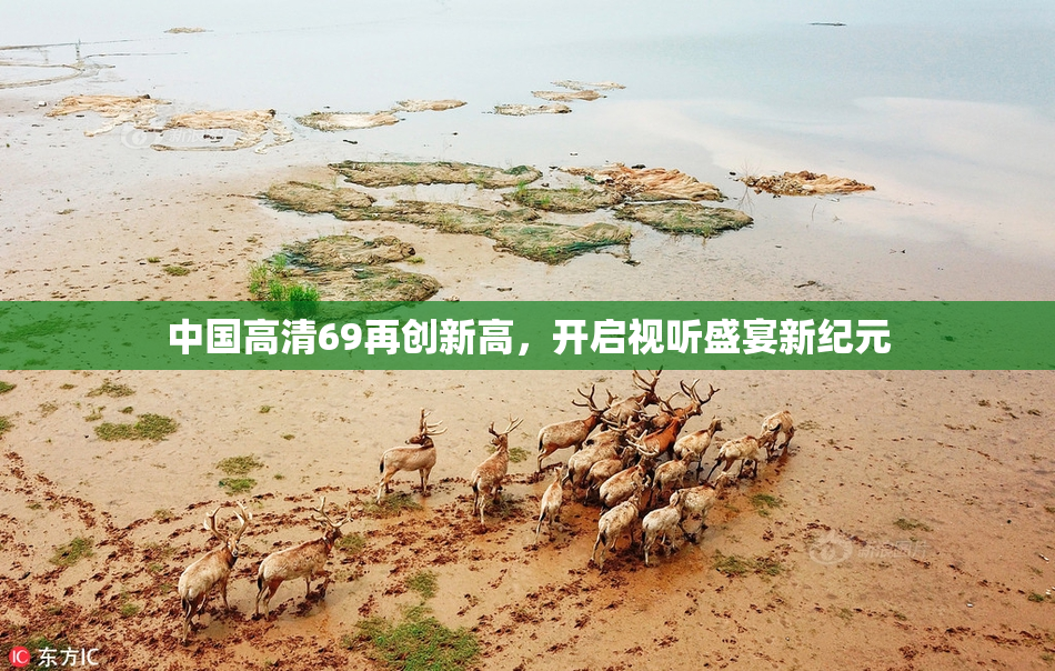 中国高清69再创新高，开启视听盛宴新纪元