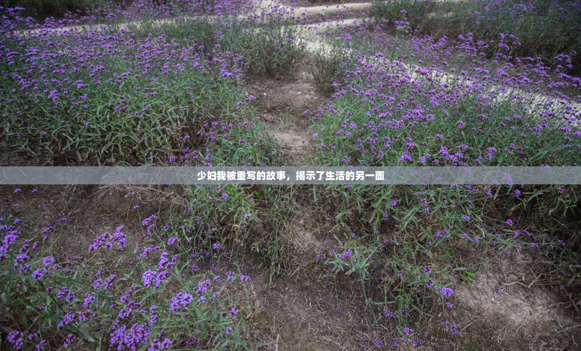 少妇我被重写的故事，揭示了生活的另一面