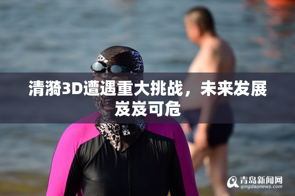 清漪3D遭遇重大挑战，未来发展岌岌可危