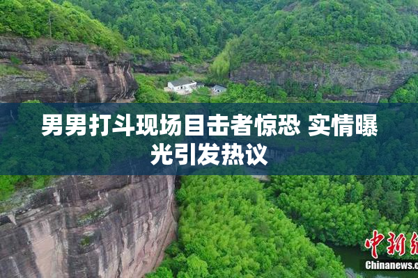 男男打斗现场目击者惊恐 实情曝光引发热议