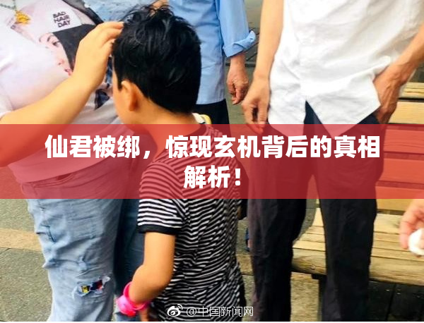 仙君被绑，惊现玄机背后的真相解析！