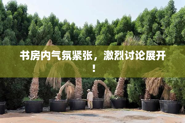书房内气氛紧张，激烈讨论展开！