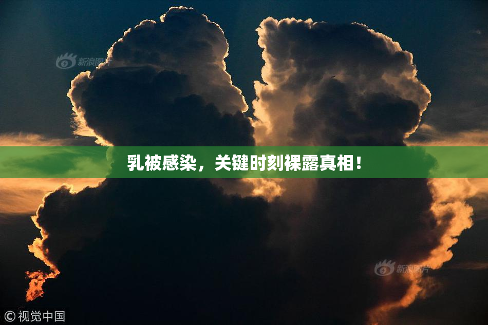 乳被感染，关键时刻裸露真相！