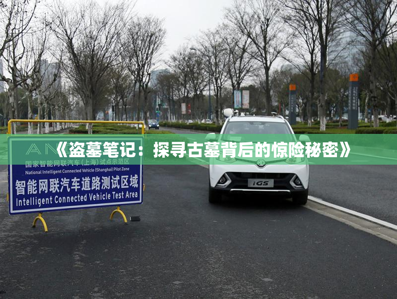 《盗墓笔记：探寻古墓背后的惊险秘密》