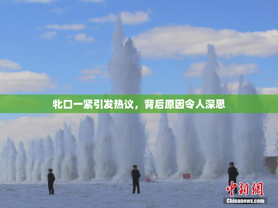 牝口一紧引发热议，背后原因令人深思