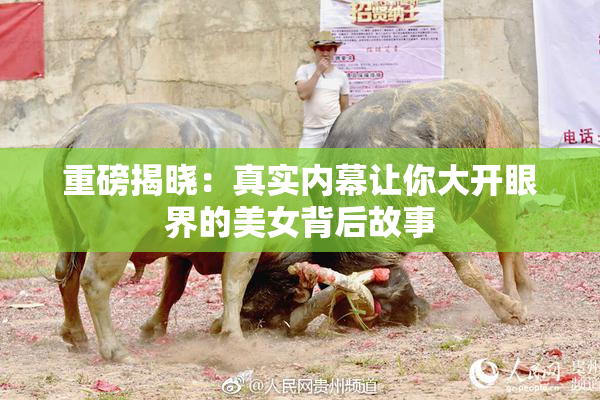 重磅揭晓：真实内幕让你大开眼界的美女背后故事
