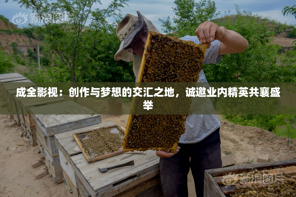成全影视：创作与梦想的交汇之地，诚邀业内精英共襄盛举
