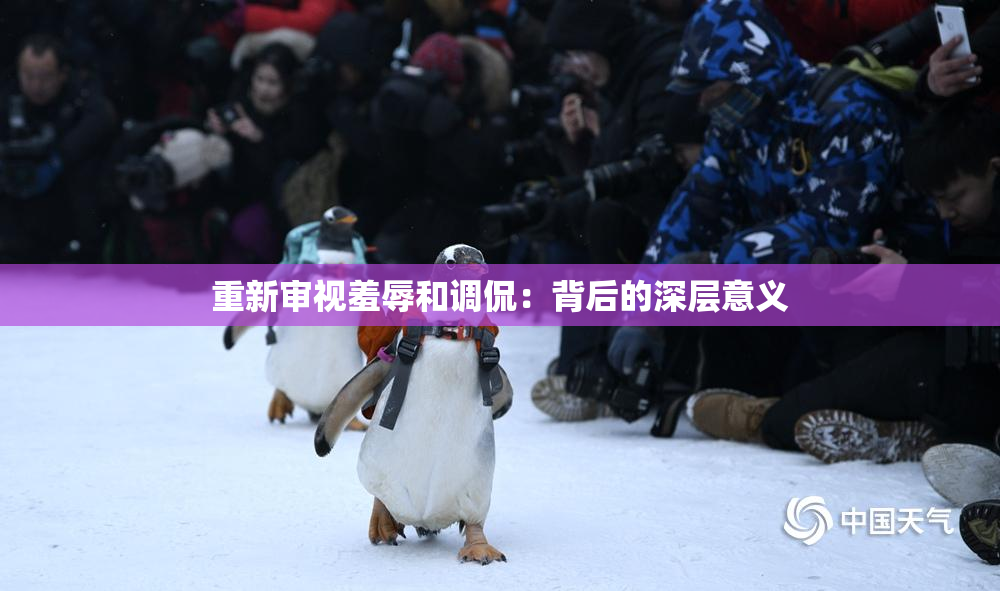 重新审视羞辱和调侃：背后的深层意义