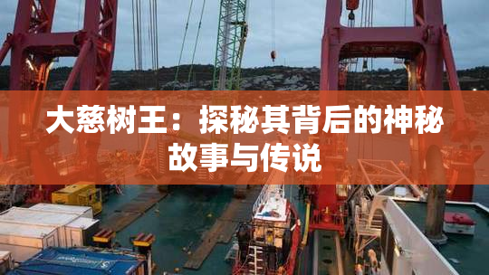 大慈树王：探秘其背后的神秘故事与传说