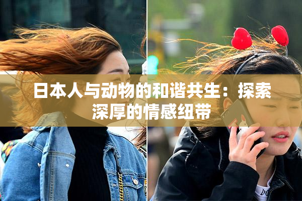 日本人与动物的和谐共生：探索深厚的情感纽带