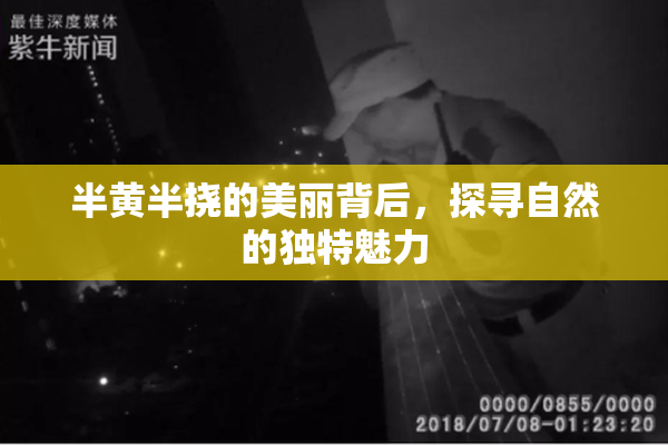 半黄半挠的美丽背后，探寻自然的独特魅力