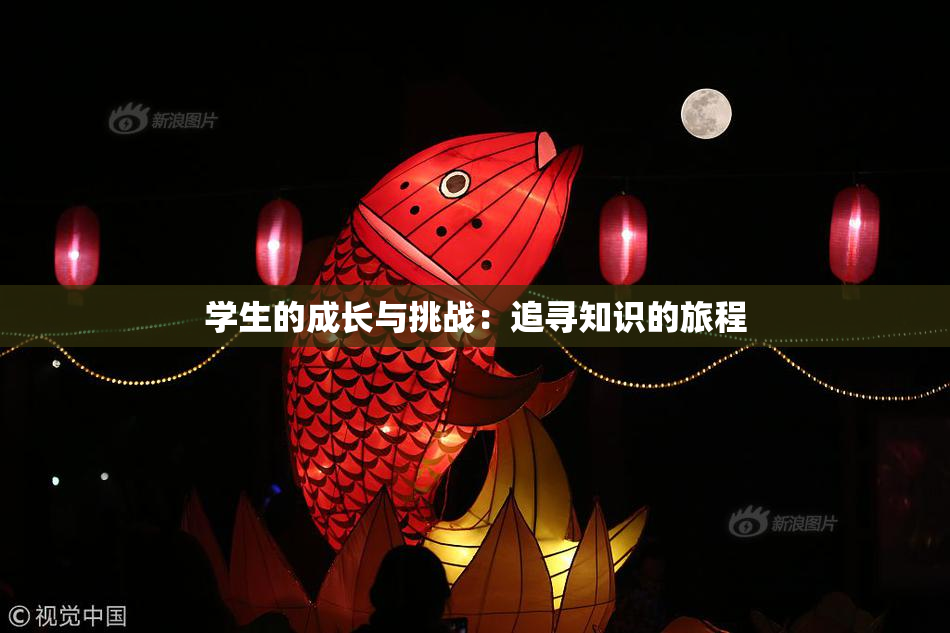学生的成长与挑战：追寻知识的旅程